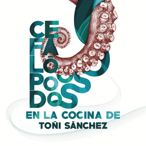 Cefalópodos en la cocina de Toñi Sánchez